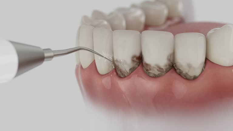Reliable Dental contractor in Harbor Springs, MI by Dentist Open Now